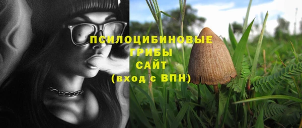 ГАЛЛЮЦИНОГЕННЫЕ ГРИБЫ Белоозёрский